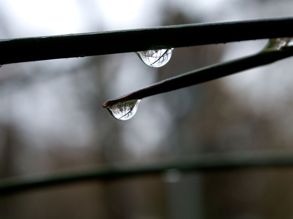 Photograph by Abdolreza Aleagha