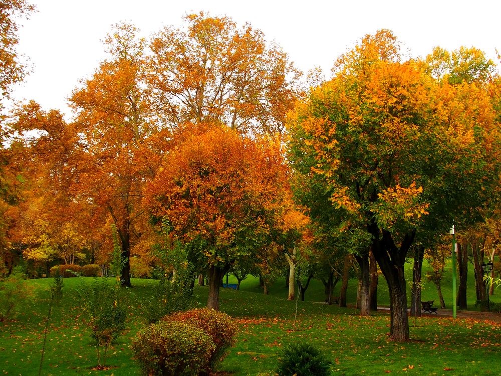 Photograph by Abdolreza Aleagha