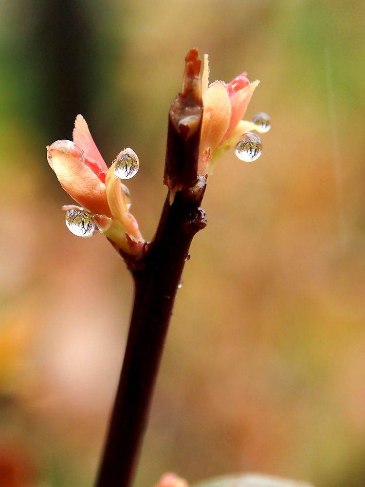 Photograph by Abdolreza Aleagha