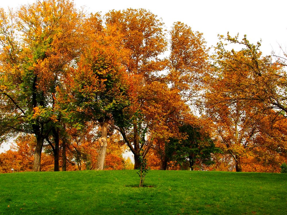 Photograph by Abdolreza Aleagha