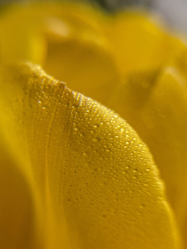 Photograph by Регина Габдулхаева