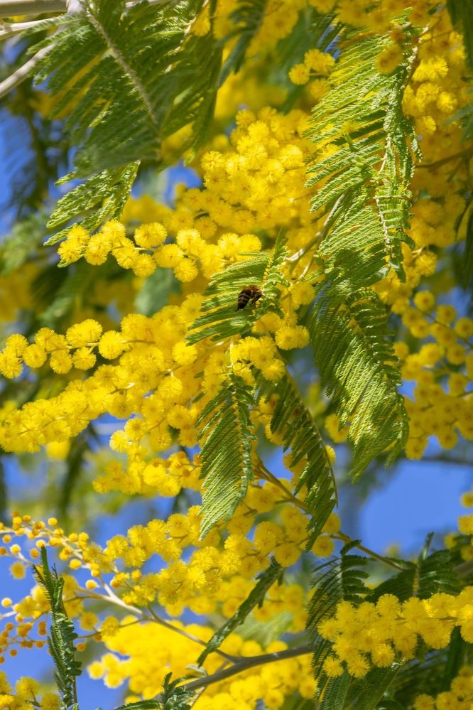 Photograph by София Серёжечкина