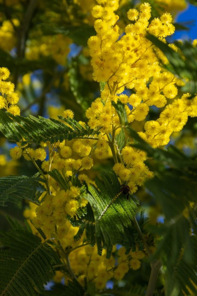 Photograph by София Серёжечкина