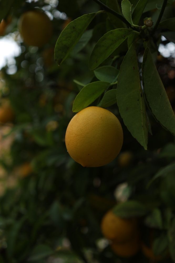 Photograph by София Серёжечкина