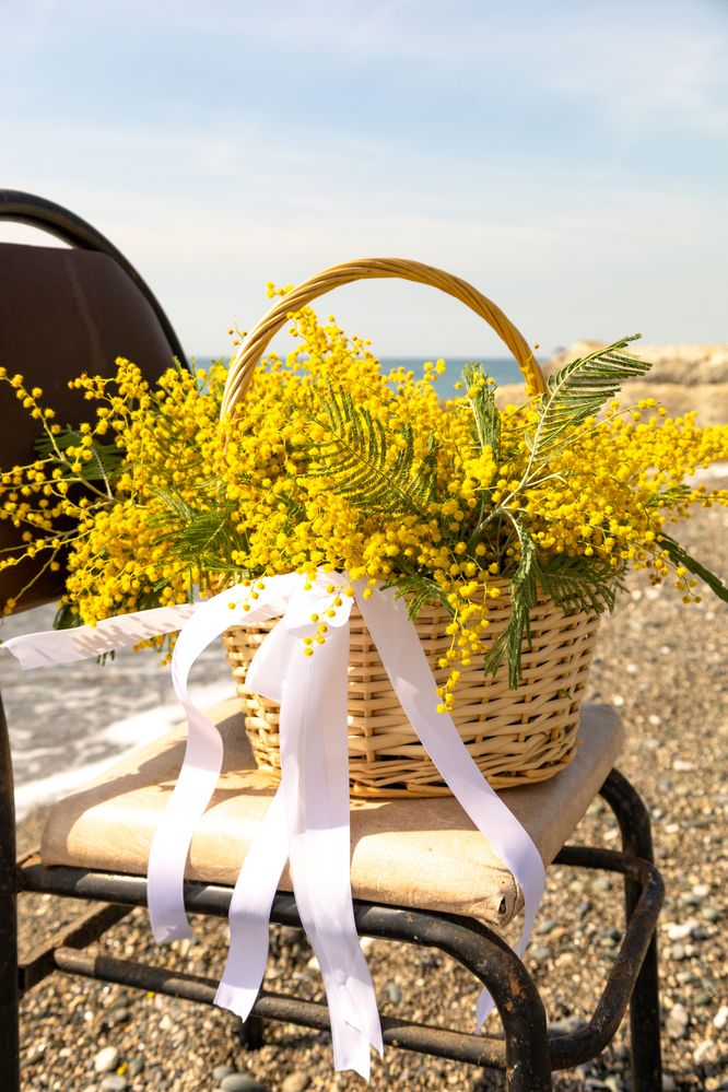 Photograph by София Серёжечкина