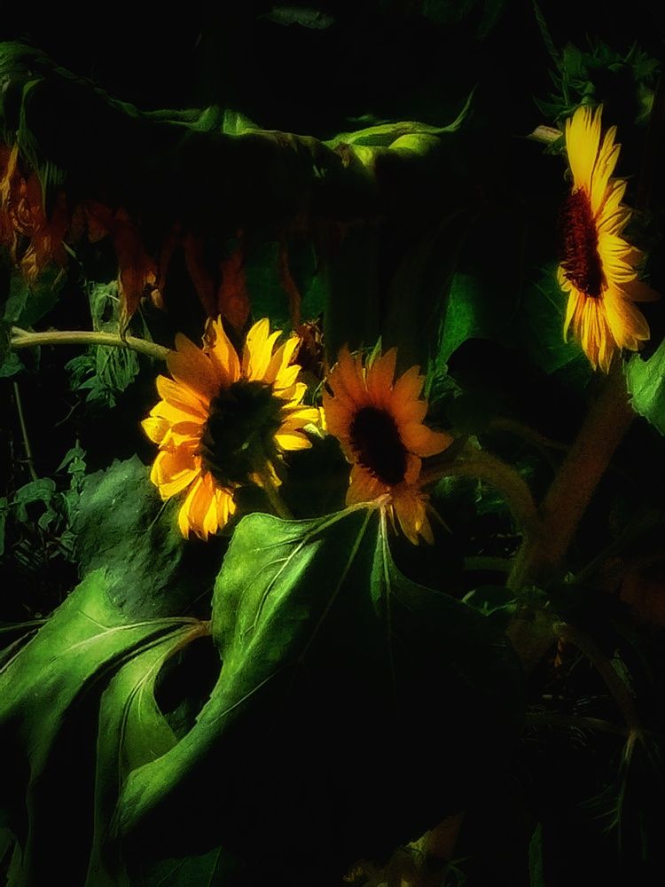 Photograph by Виктория Дремо