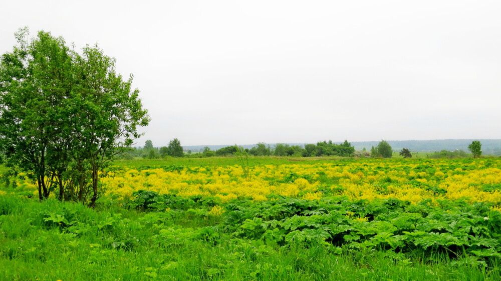 Photograph by Елена Казарина