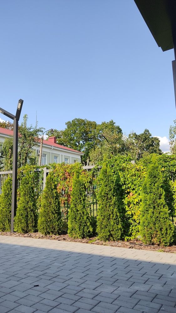 Photograph by Ксения Голубкова