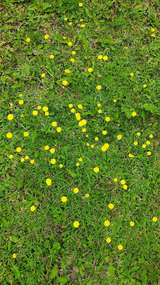 Photograph by Ксения Голубкова