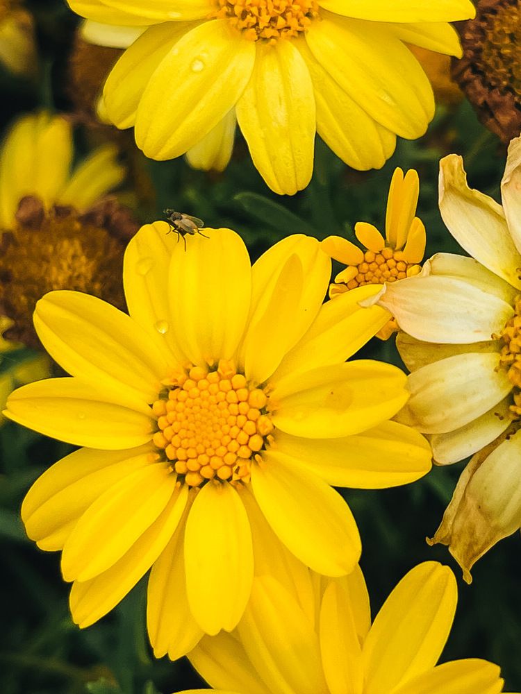 Photograph by Регина Габдулхаева