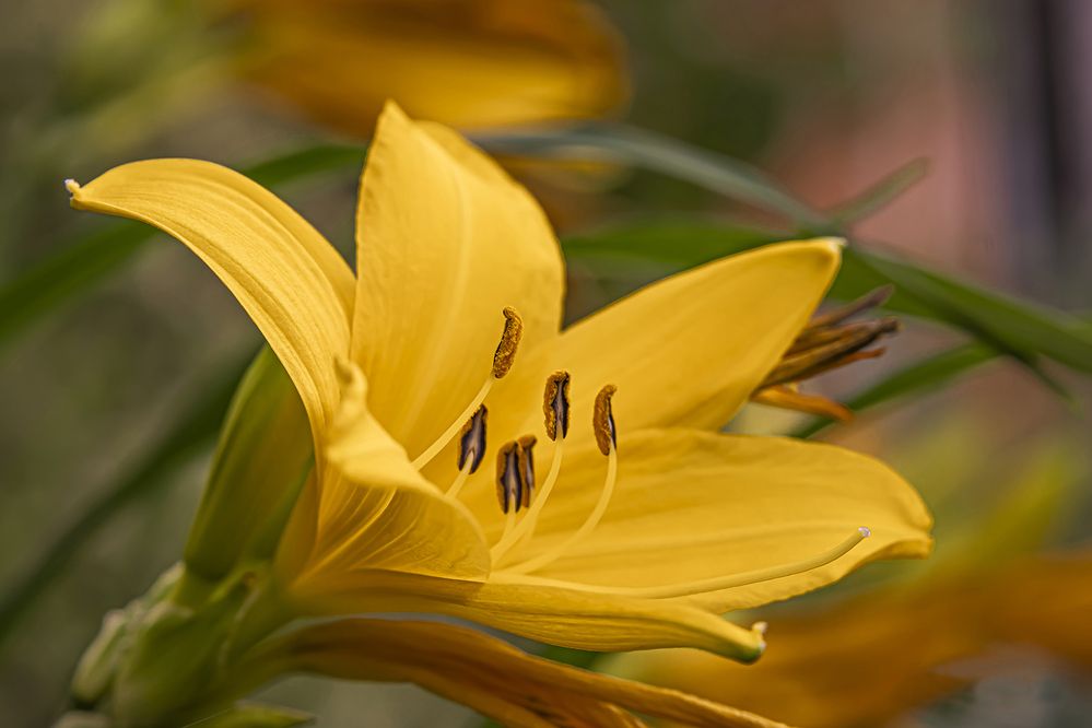 Photograph by Бурикова Екатерина