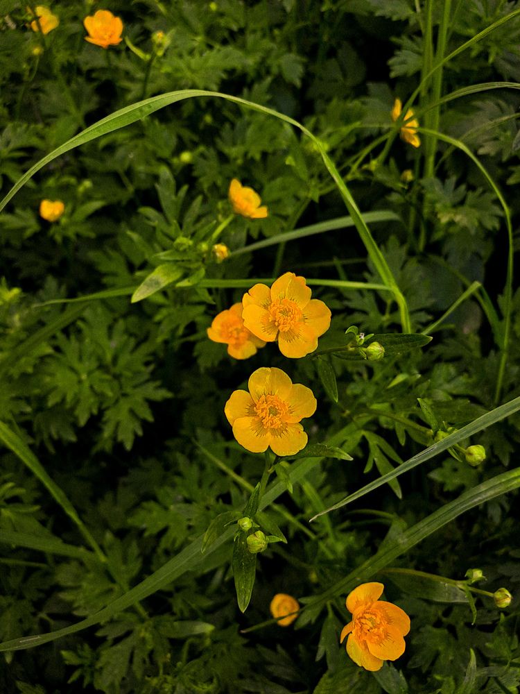 Фотография автора Anna Popova