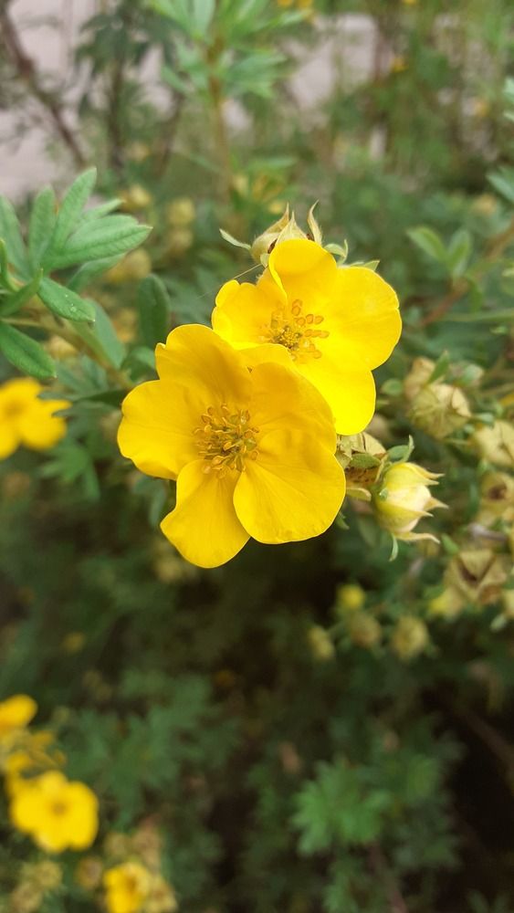 Photograph by Елена Лещева