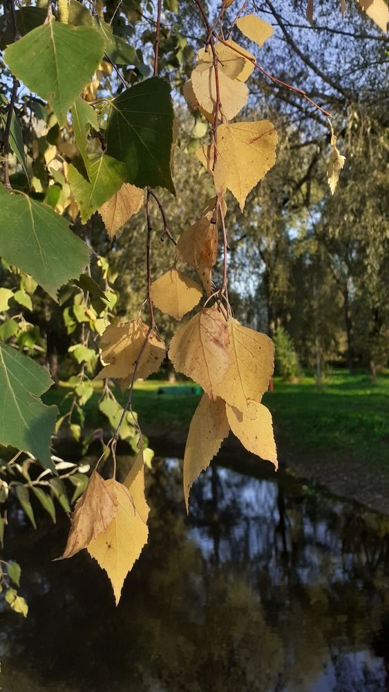 Photograph by Елена Лещева