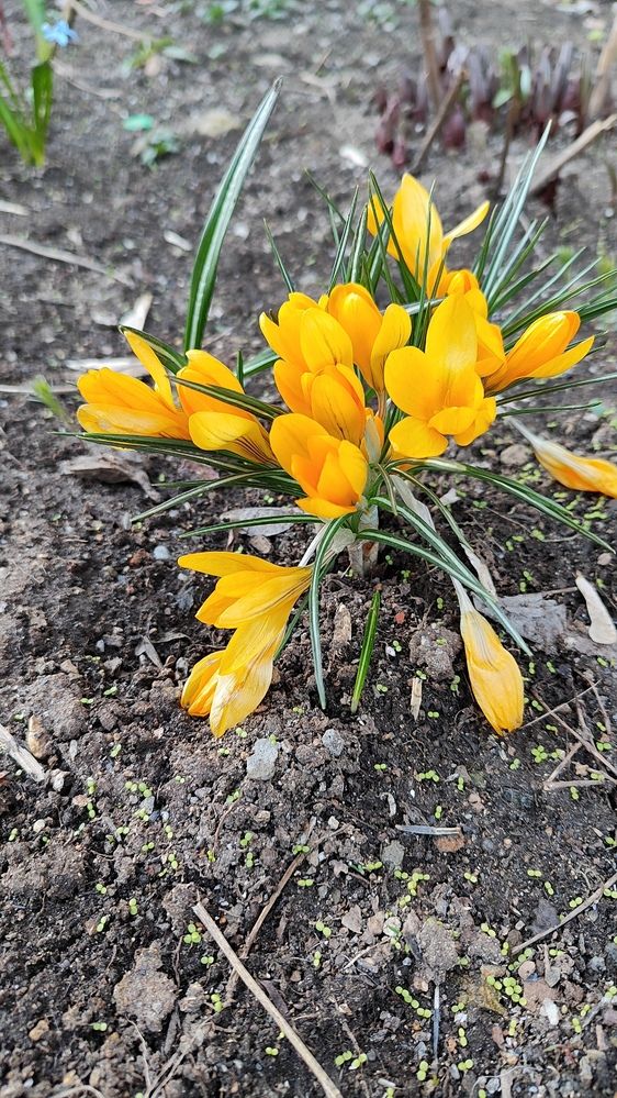 Фотография автора Оксана Антощук