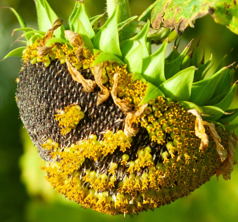 Photograph by Lada Tregubov