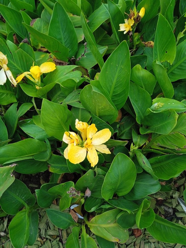 Photograph by Светлана