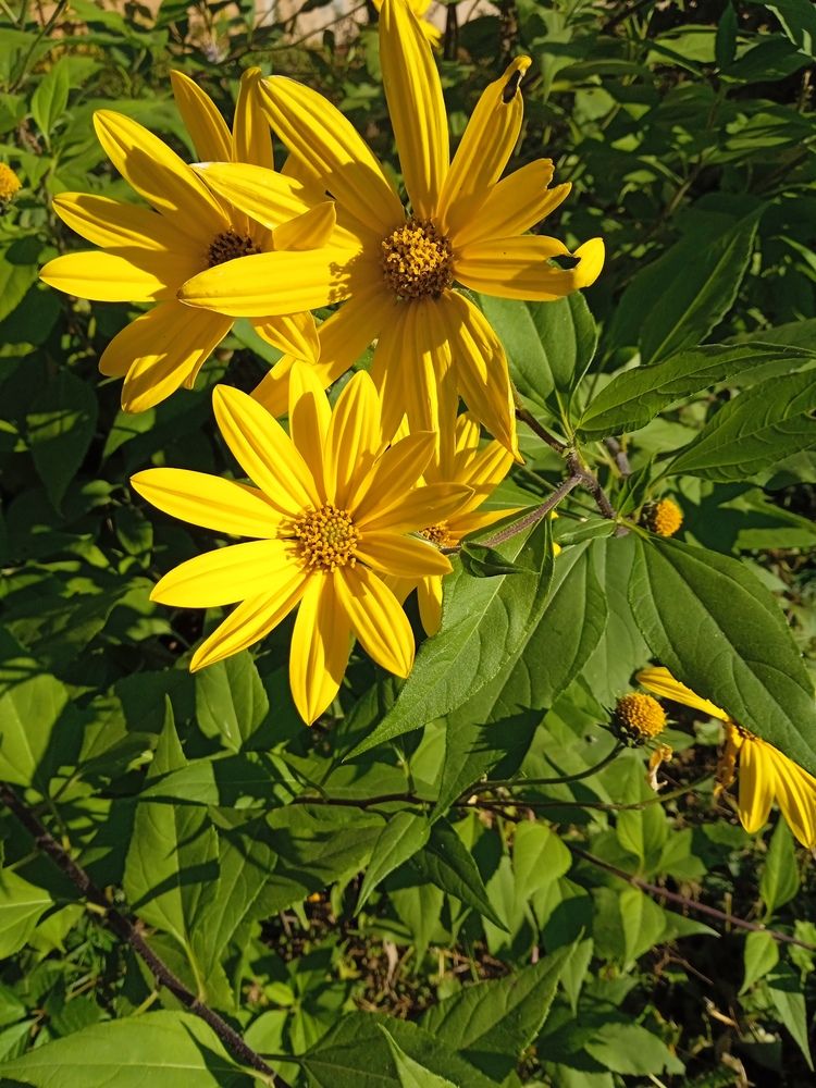 Photograph by Светлана