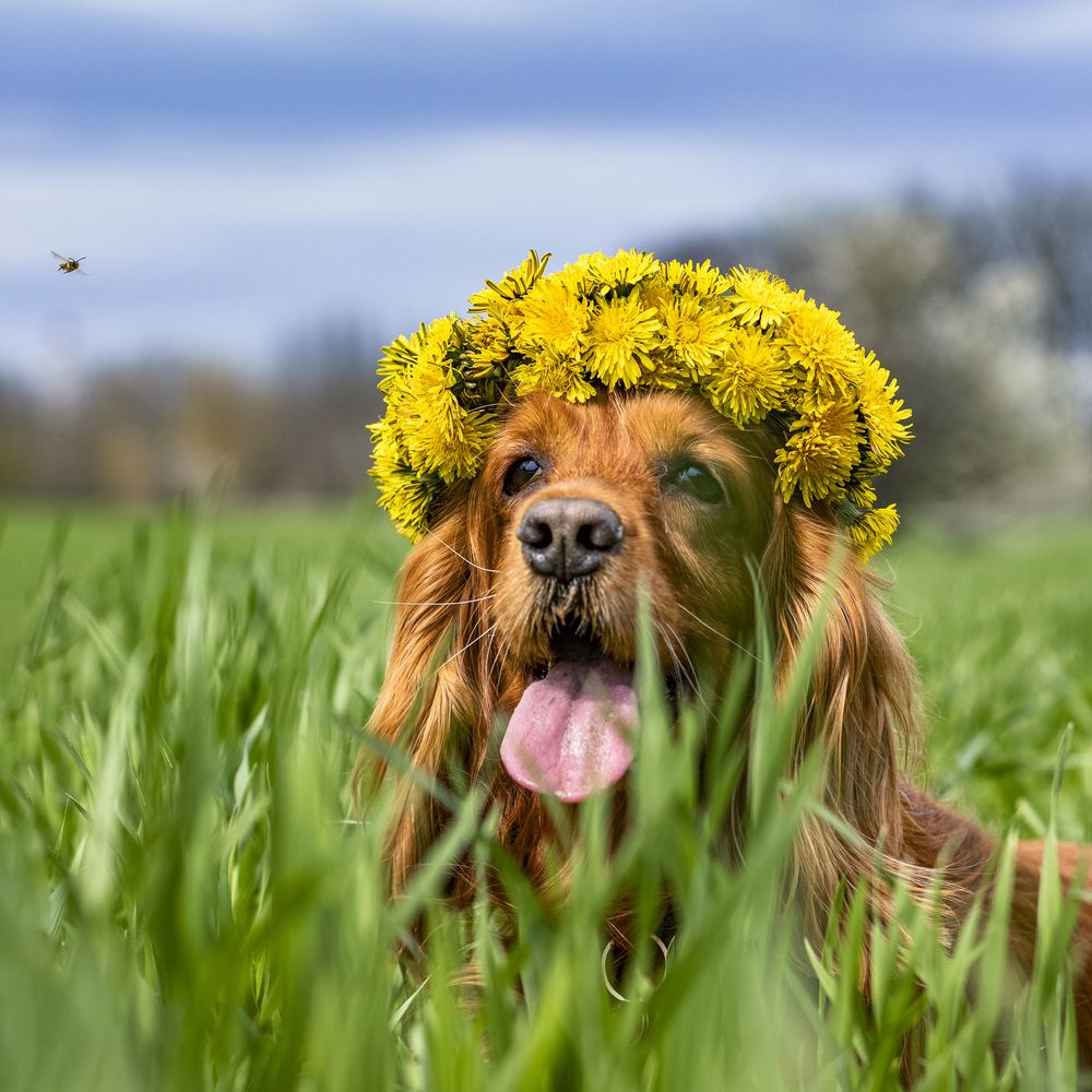 Photograph by Victoria Mogulyan