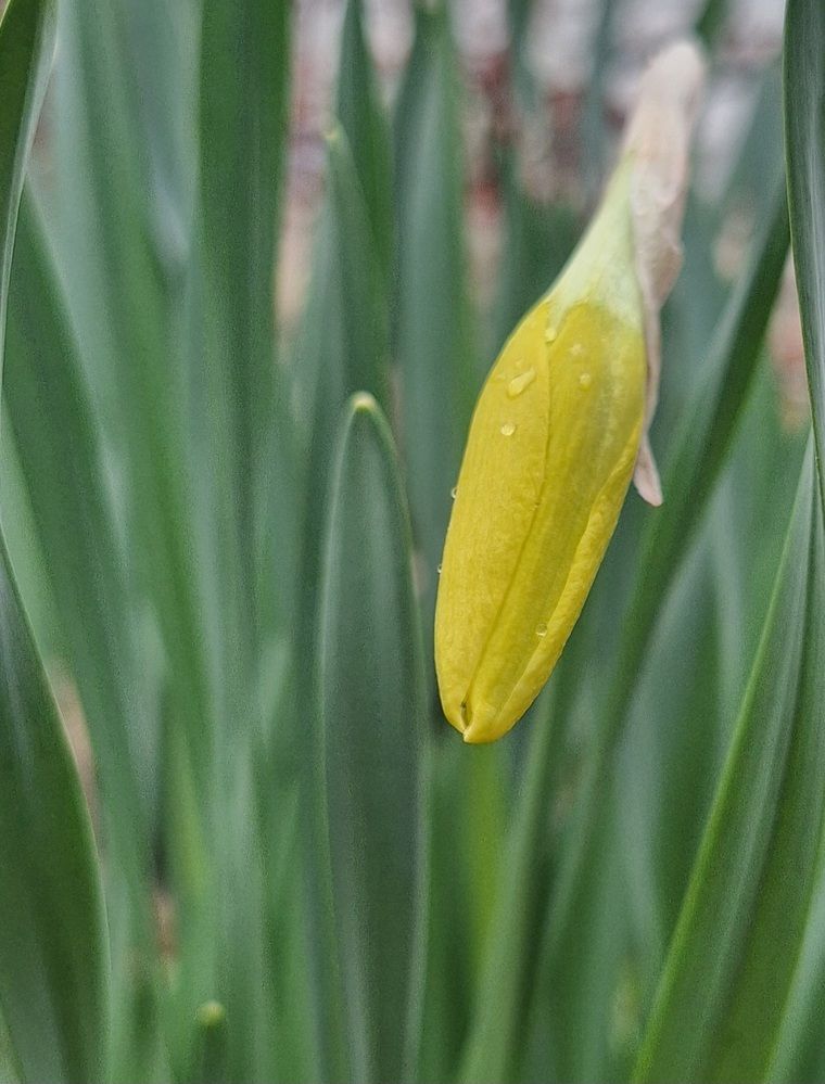 Photograph by Ольга Мольдон