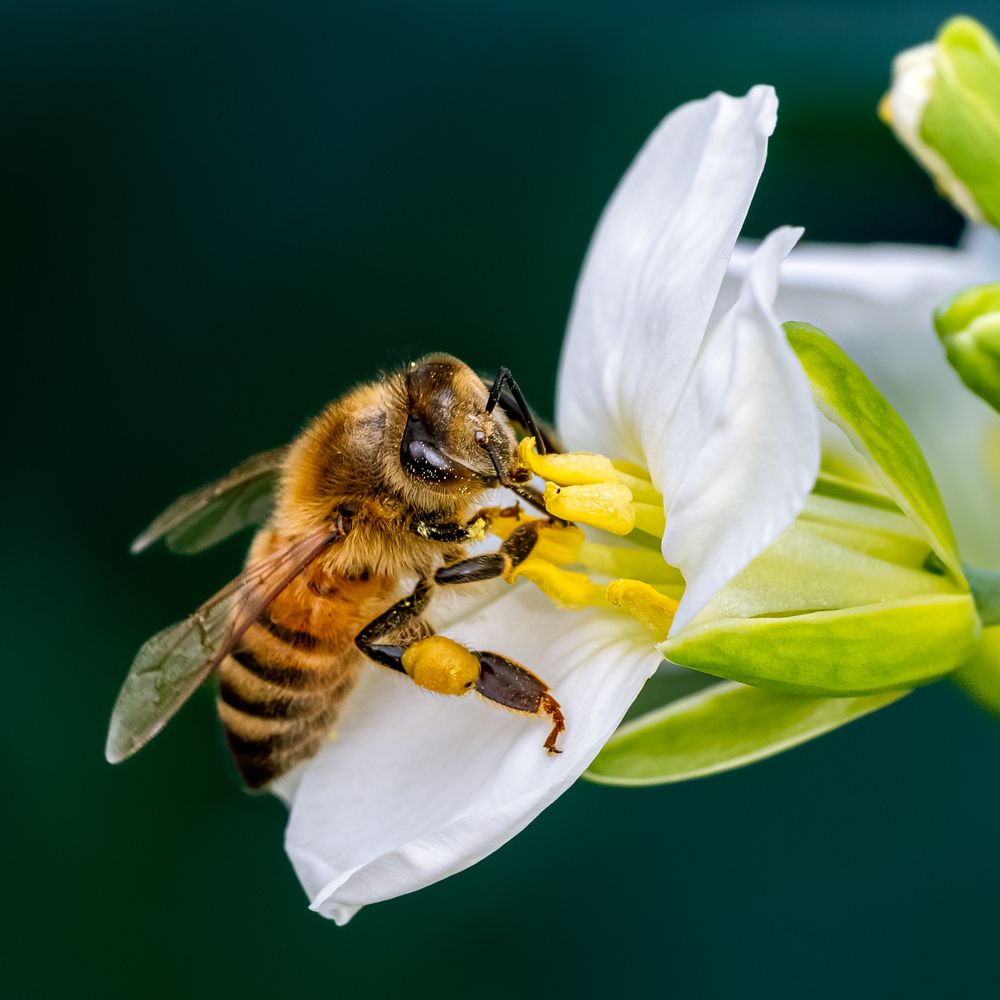 Photograph by Suzuki Ryuta