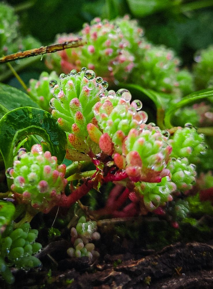 Photograph by Евгения Гродинская