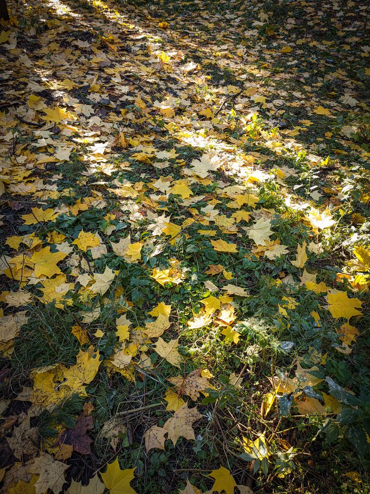 Photograph by Олега Тор