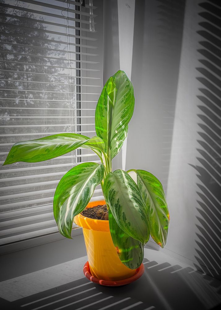 Photograph by Олега Тор