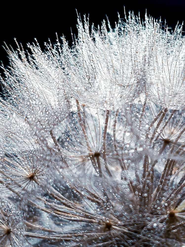 Photograph by Alexandra Sergeeva