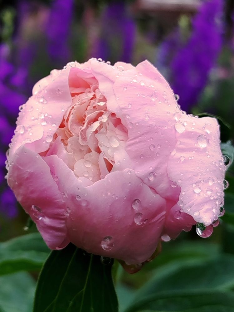 Photograph by Наталья Назаренко