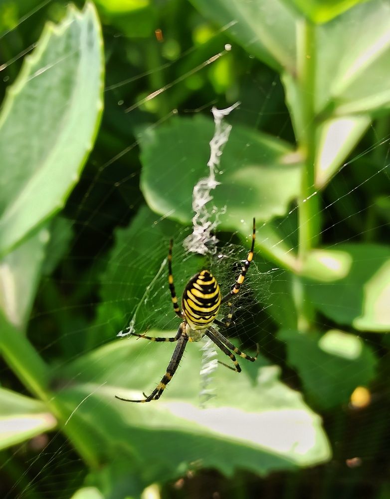 Photograph by Elena Novikova