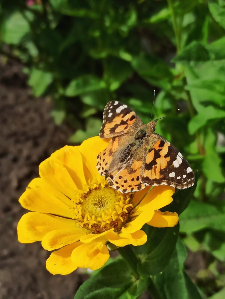 Photograph by Elena Novikova