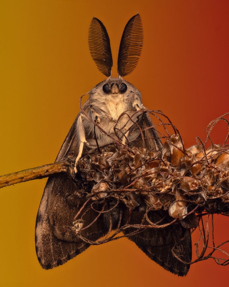 Фотография автора Sergio Gomez Dominguez
