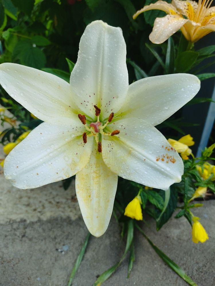 Photograph by Наталья Билай