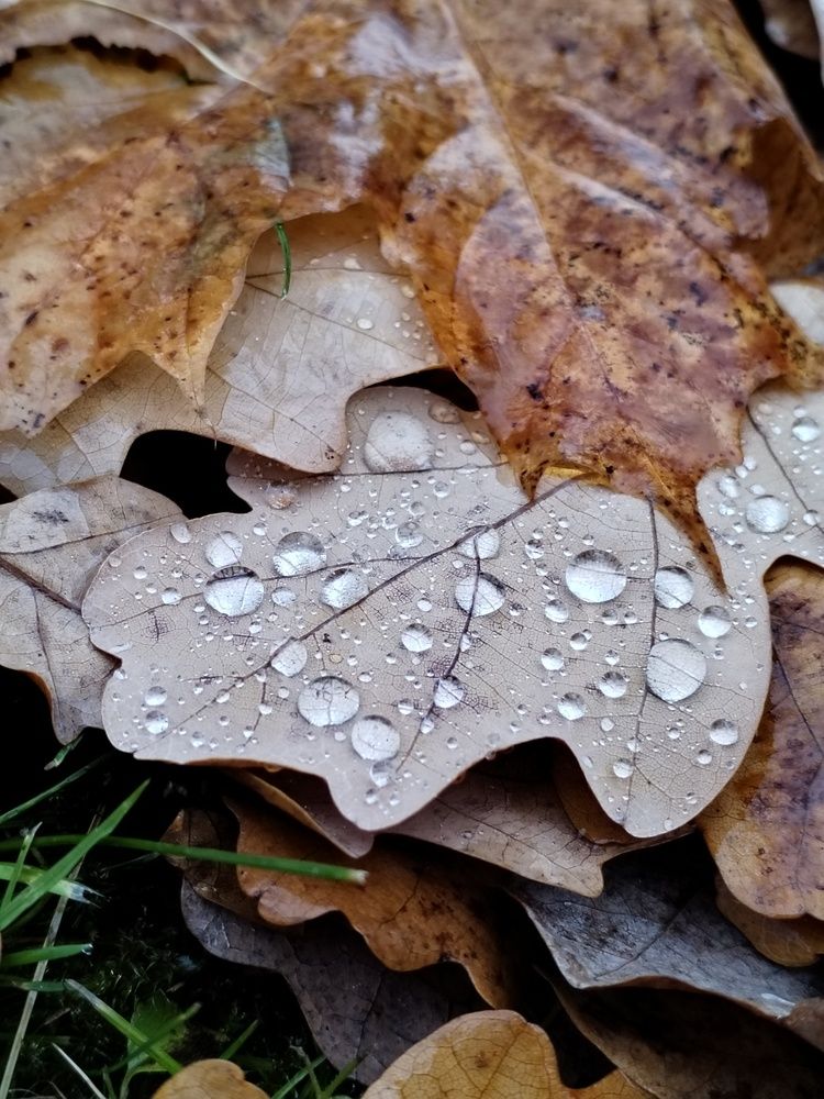 Photograph by Юлия Ю.