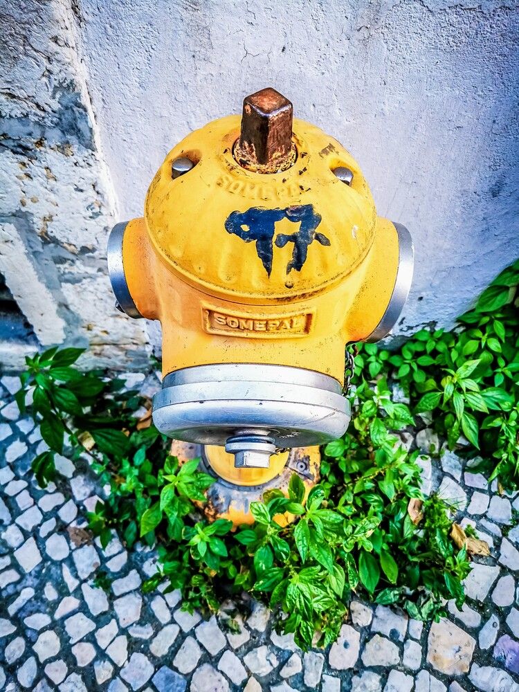 Фотография автора Ian Heard