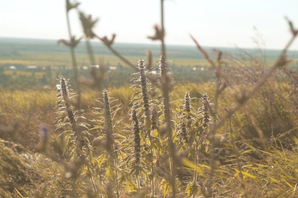 Photograph by Мартынов Константин