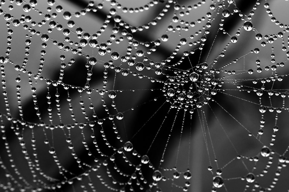 Photograph by SRIMANTA RAY