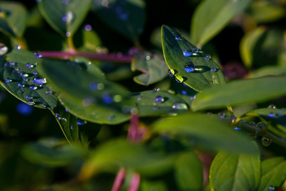 Фотография автора TOTORO