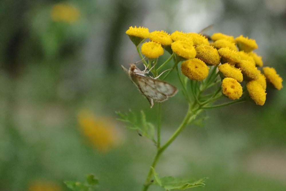 Photograph by Екатерина Александровна
