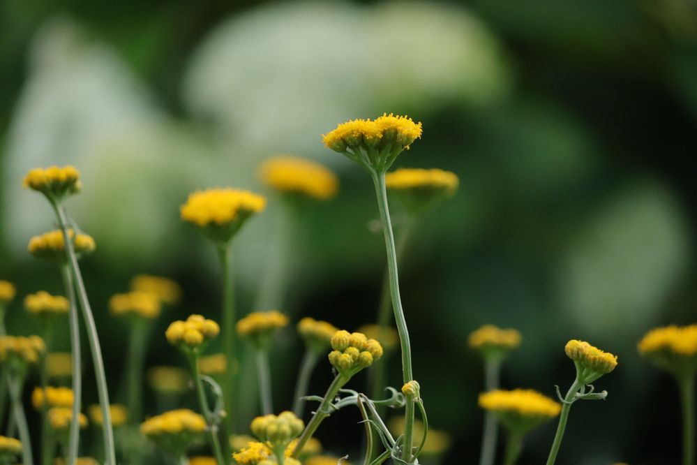 Photograph by Екатерина Александровна