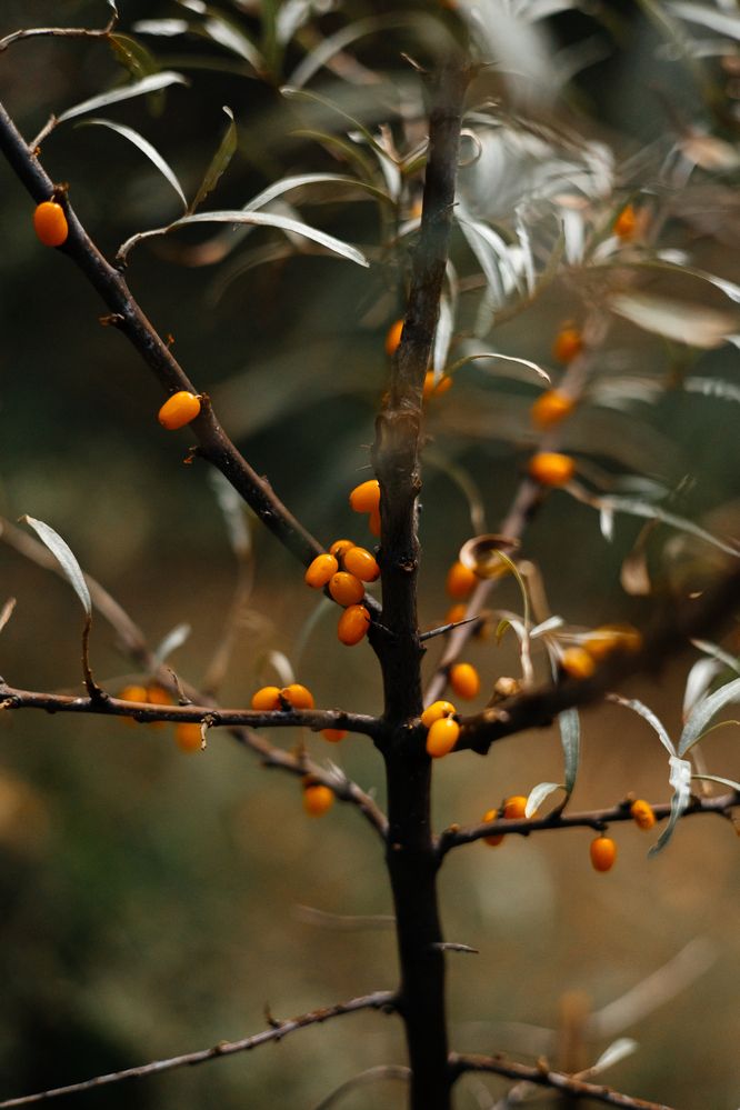 Photograph by Наталия Софич