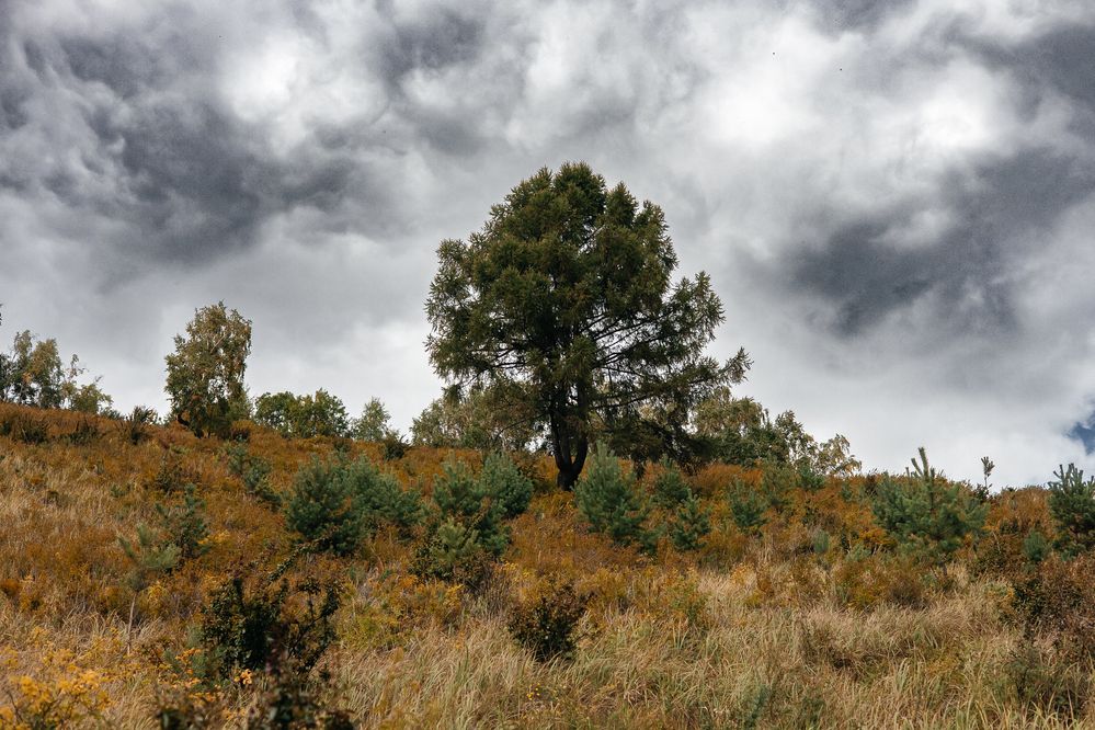 Photograph by Наталия Софич