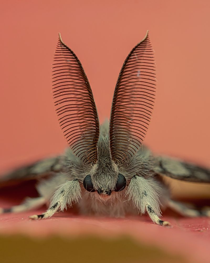 Фотография автора Sergio Gomez Dominguez