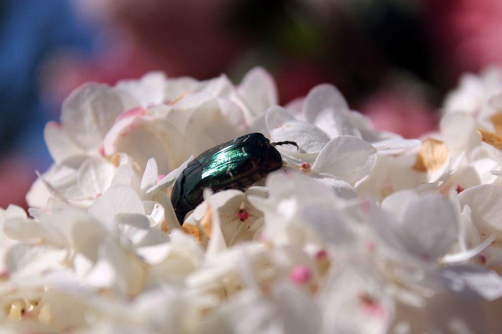 Photograph by Кирилл Елесин