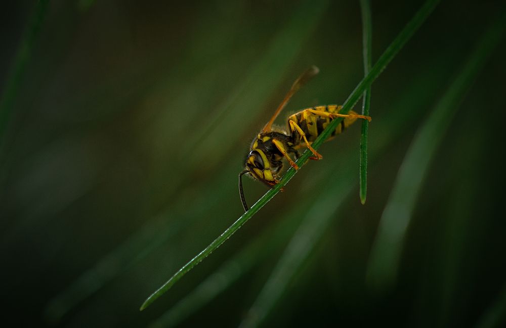 Photograph by Татьяна Эрбутаева