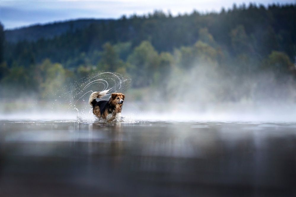 Photograph by Denisa Zbranková Albaniová