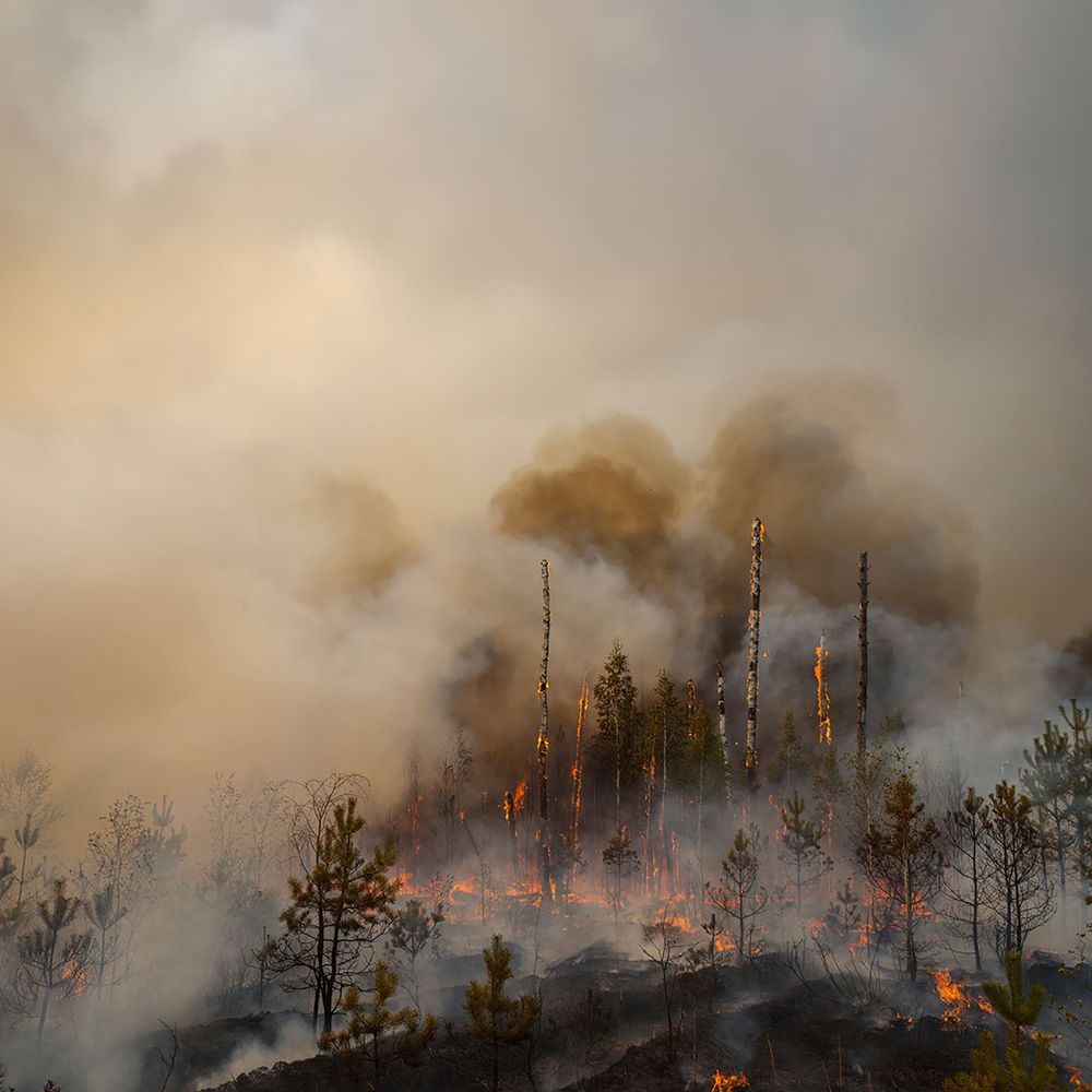 Photograph by Игорь Капустин