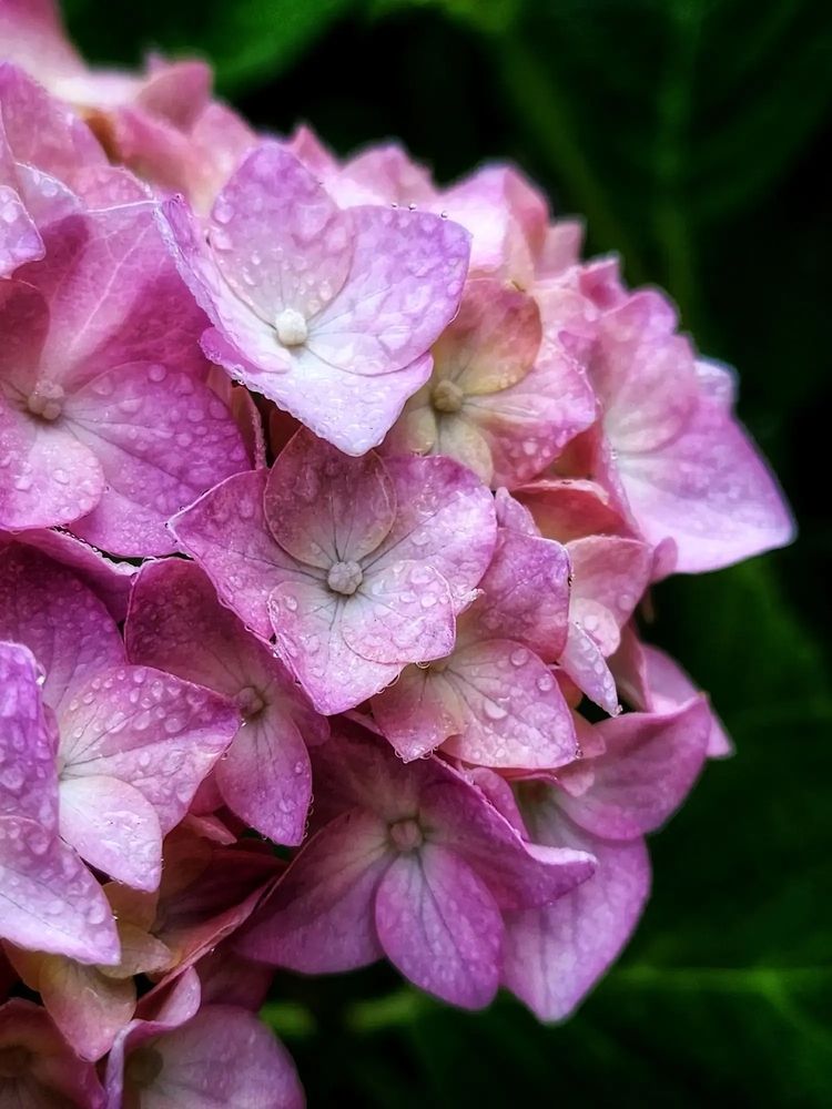 Фотография автора Татьяна Сякина