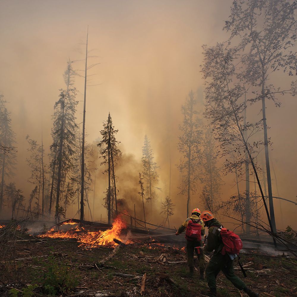 Photograph by Игорь Капустин